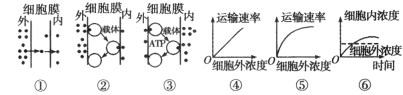 www.xiangpi.com