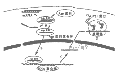 www.xiangpi.com