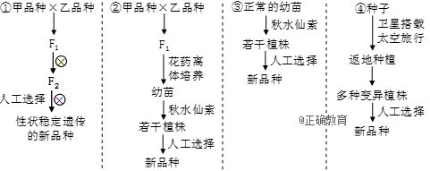 www.xiangpi.com