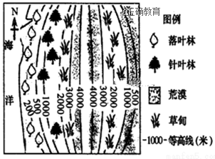 www.xiangpi.com
