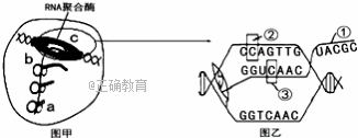 www.xiangpi.com