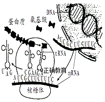 www.xiangpi.com