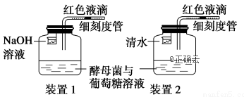 www.xiangpi.com