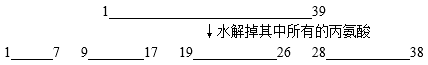 www.xiangpi.com