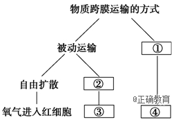 www.xiangpi.com