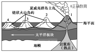 www.xiangpi.com