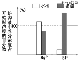 www.xiangpi.com