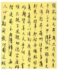 www.xiangpi.com