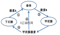 www.xiangpi.com
