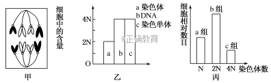 www.xiangpi.com