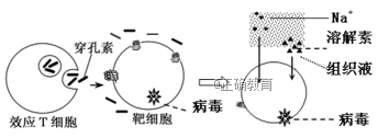 www.xiangpi.com