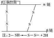 下图为结晶牛胰岛素的一个模式图_如图为结晶牛胰岛素_结晶牛胰岛素 袁腾飞