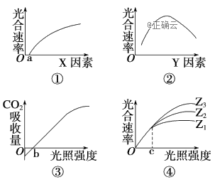 www.xiangpi.com