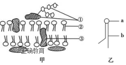 www.xiangpi.com