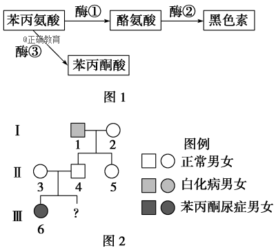 www.xiangpi.com