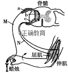 www.xiangpi.com