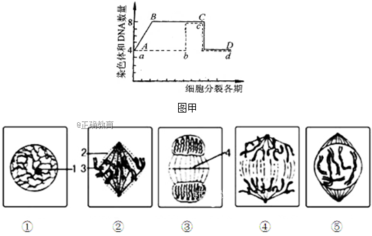 www.xiangpi.com