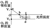 www.xiangpi.com