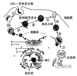 www.xiangpi.com