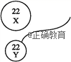 www.xiangpi.com