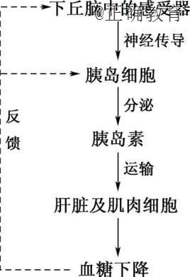 www.xiangpi.com