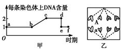 www.xiangpi.com