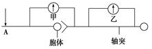 www.xiangpi.com