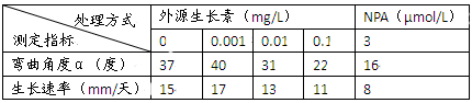 www.xiangpi.com