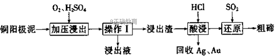 www.xiangpi.com
