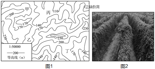 www.xiangpi.com