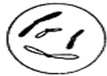 www.xiangpi.com