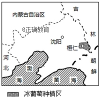 www.xiangpi.com