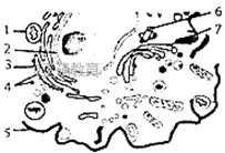 www.xiangpi.com