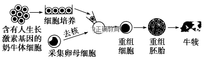 www.xiangpi.com
