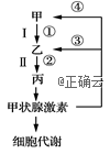 www.xiangpi.com