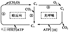 www.xiangpi.com