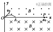 www.xiangpi.com