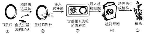 www.xiangpi.com