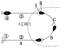 www.xiangpi.com