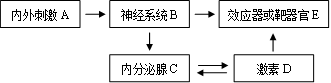 www.xiangpi.com