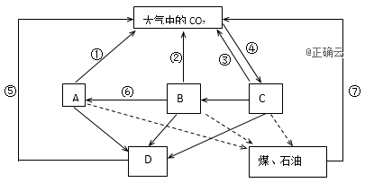 www.xiangpi.com