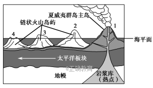 www.xiangpi.com