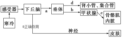 www.xiangpi.com
