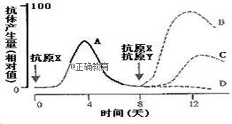 www.xiangpi.com