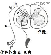 www.xiangpi.com