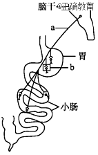 www.xiangpi.com