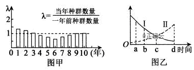 www.xiangpi.com