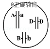 www.xiangpi.com