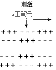 www.xiangpi.com
