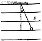 www.xiangpi.com